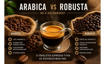 Arabica vs Robusta – Mi a különbség a két kávéfajta között?